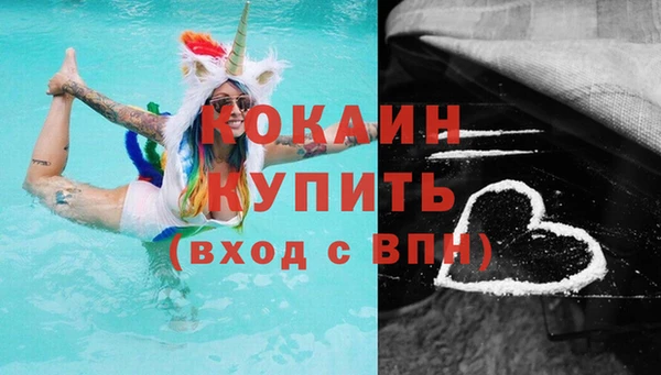гашик Касимов