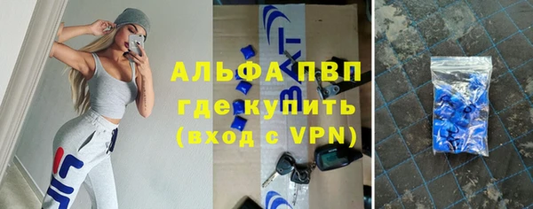 гашик Касимов