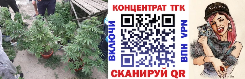 ТГК гашишное масло закладки Бирюч