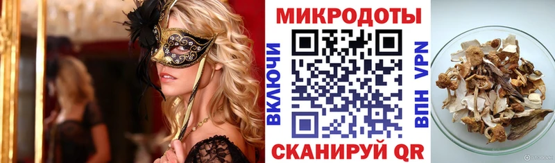 купить наркотик  Бирюч  Псилоцибиновые грибы Psilocybe 